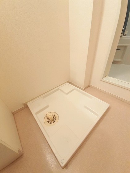 プラシードM・N