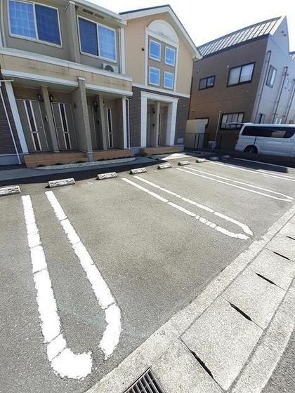 プラシードM・N