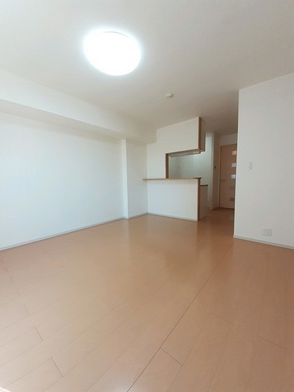 プラシードM・N