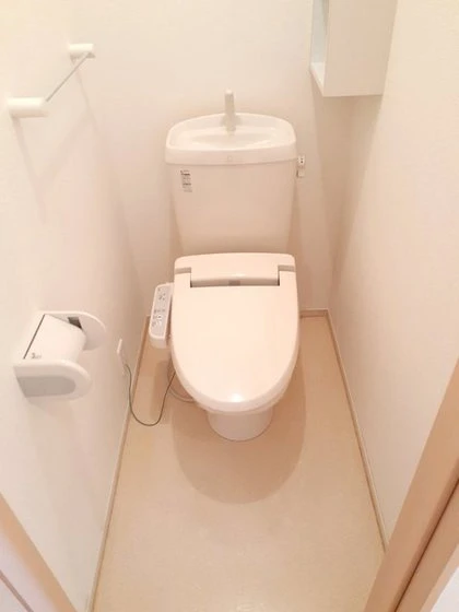 プラシードM・N