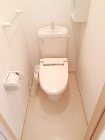 プラシードM・N