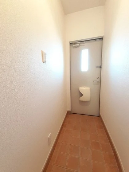 プラシードM・N