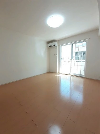 プラシードM・N