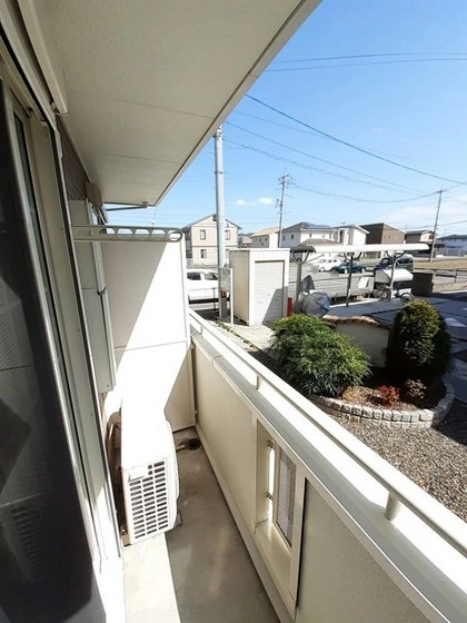 プラシードM・N