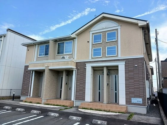 プラシードM・N