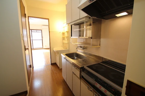 エクセル片山Ⅲ