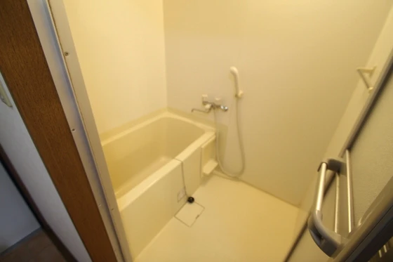 エクセル片山Ⅲ