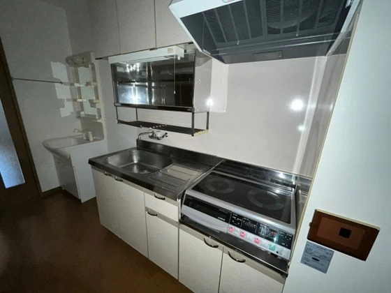 エクセル片山Ⅲ