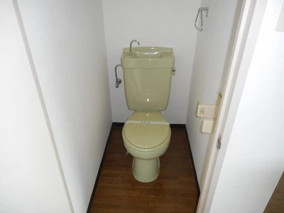 ロイヤルピジョン