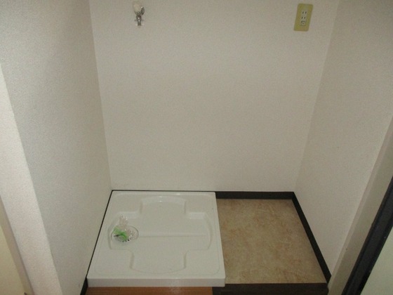 ロイヤルピジョン