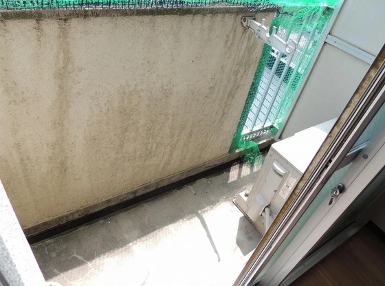 ロイヤルピジョン