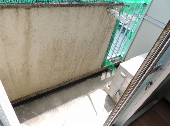 ロイヤルピジョン