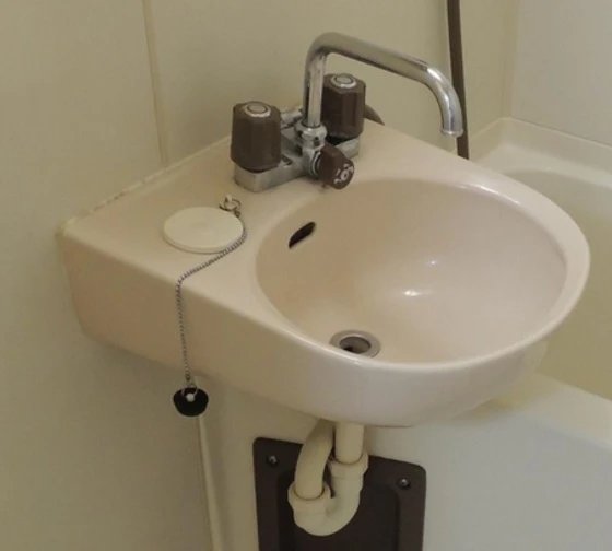 ロイヤルピジョン