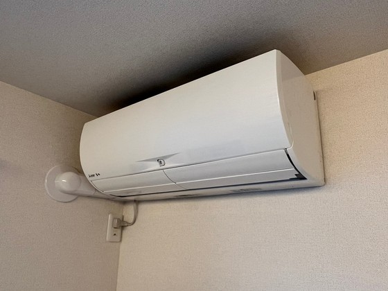 ベルフィオーレ