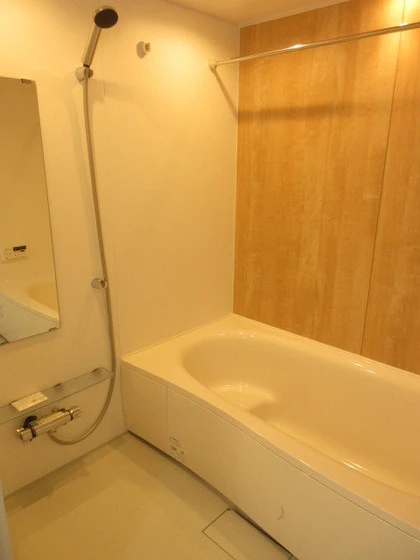 インテグラルSDJ