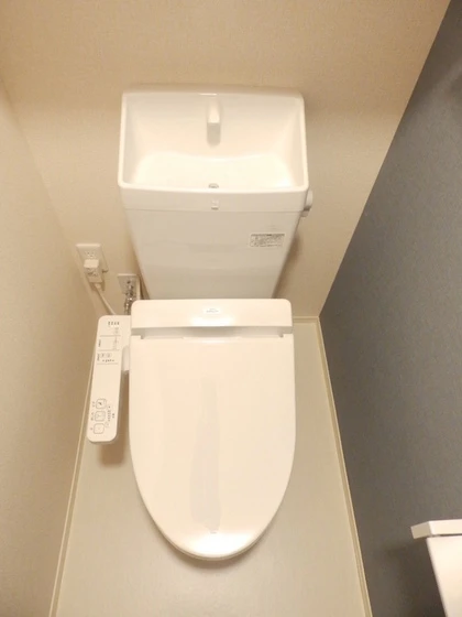 カローレアミカ