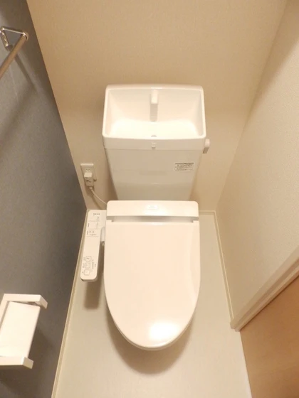 カローレアミカ