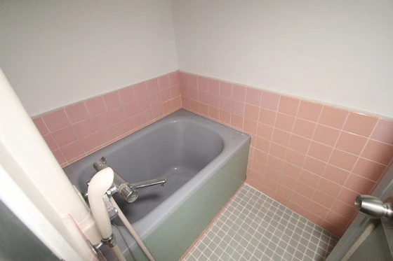 角南春日フォートレス