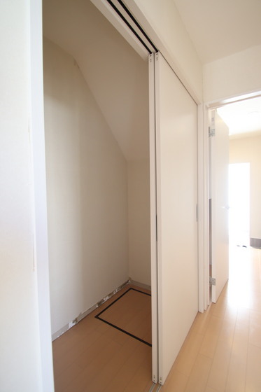 ブランアーニーヨコイカミ