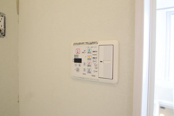 ブランアーニーヨコイカミ