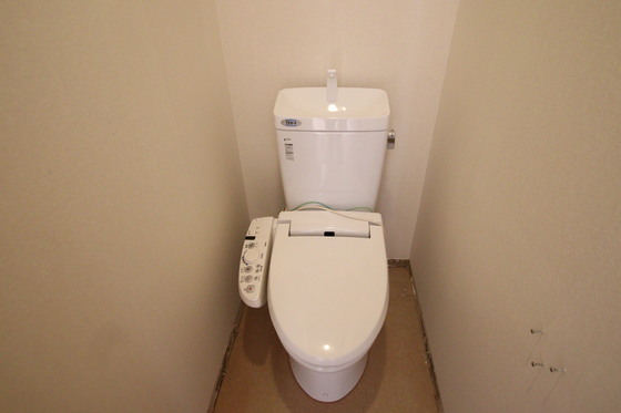 ブランアーニーヨコイカミ