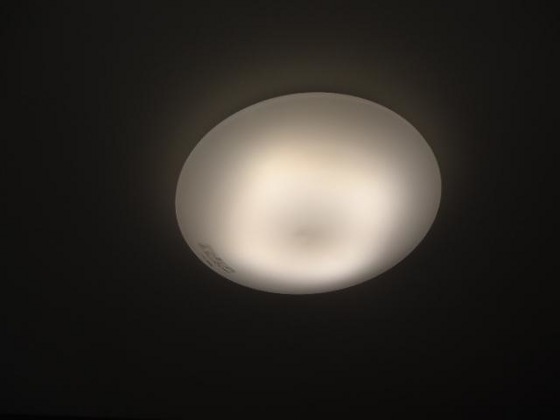 ウィステリアⅢ