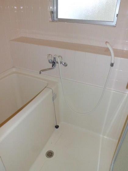 ハイタウンライム