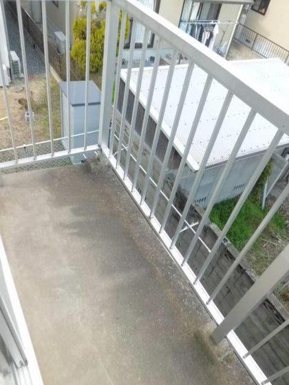 ハイタウンライム