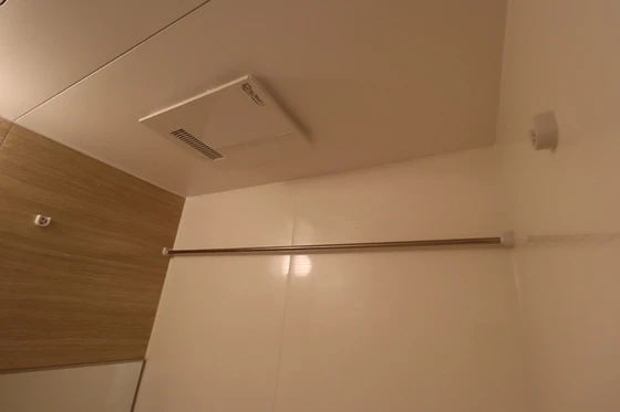 アルカンシエル Saya