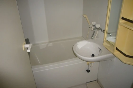 フォレストオエル国富