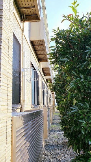 レオネクスト倉富