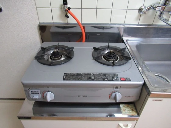 ロイヤルパレス林Ⅰ