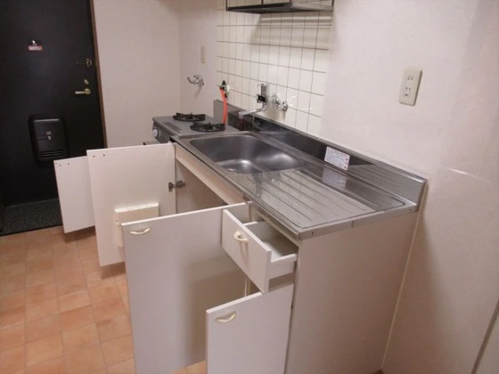 ロイヤルパレス林Ⅰ