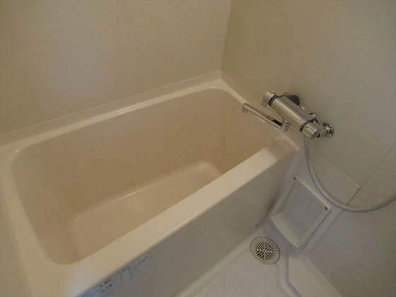 ロイヤルパレス林Ⅰ