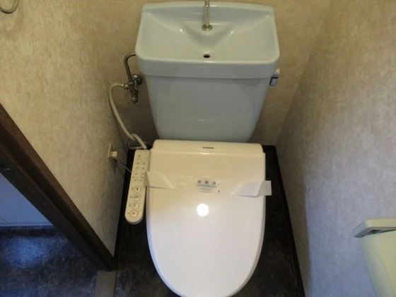 ロイヤルパレス林Ⅰ