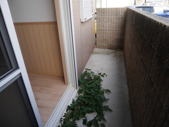 ラ・パルテール国富壱番館