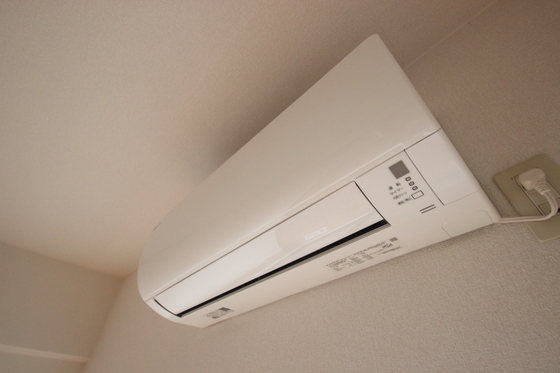 アルティメイトbuilding.楠木