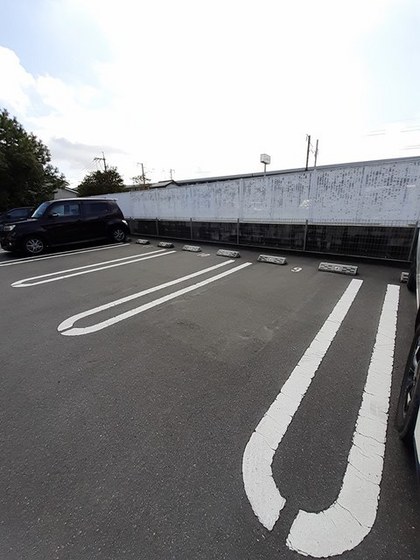 ピュア・ポノポノS