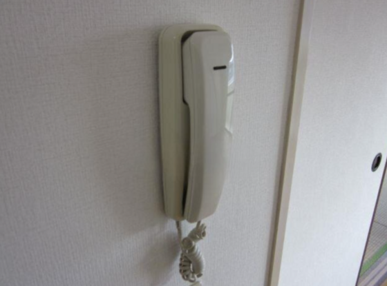 シャリテホサキ