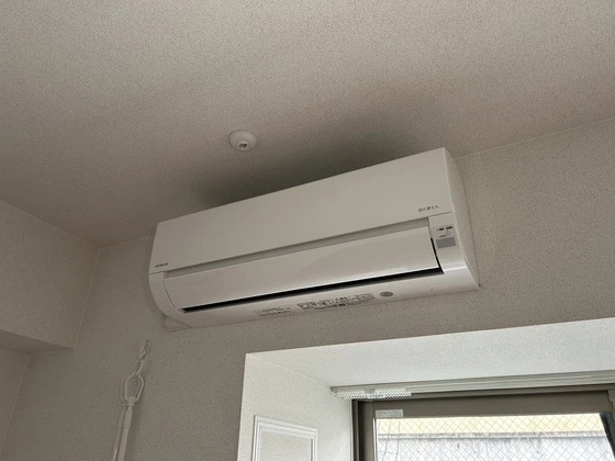 サン ウォーム ニチダン