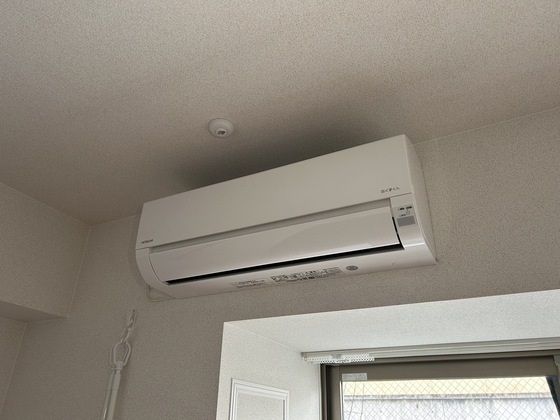 サン ウォーム ニチダン