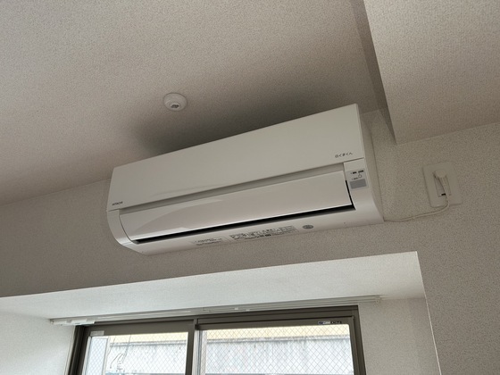 サン ウォーム ニチダン