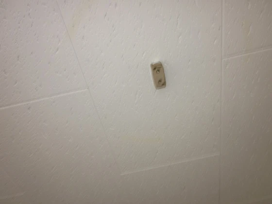 ダイマルハイム