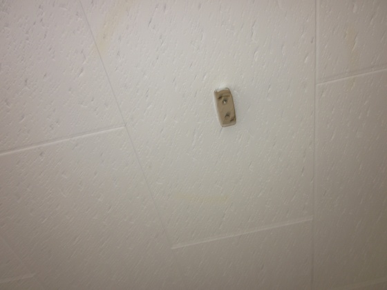 ダイマルハイム