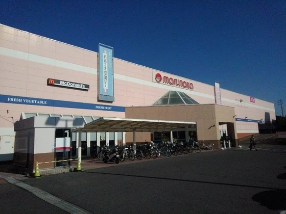 エルディム内田C