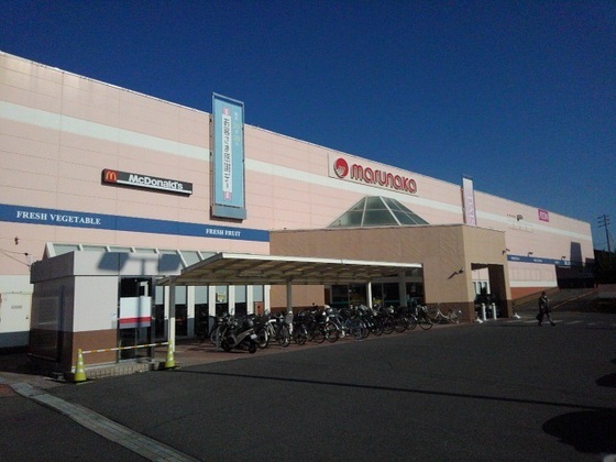 エルディム内田C