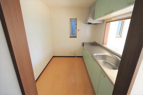 グリーンセトル万倍 E