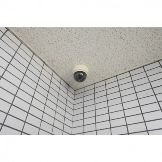 シティハイツ岩田