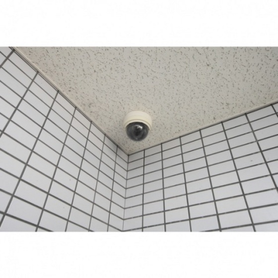 シティハイツ岩田