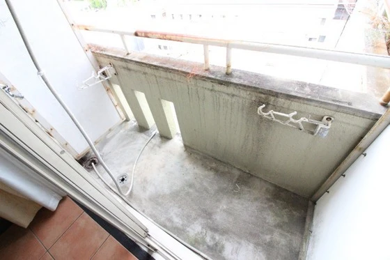 ナッツクラッカー医大東